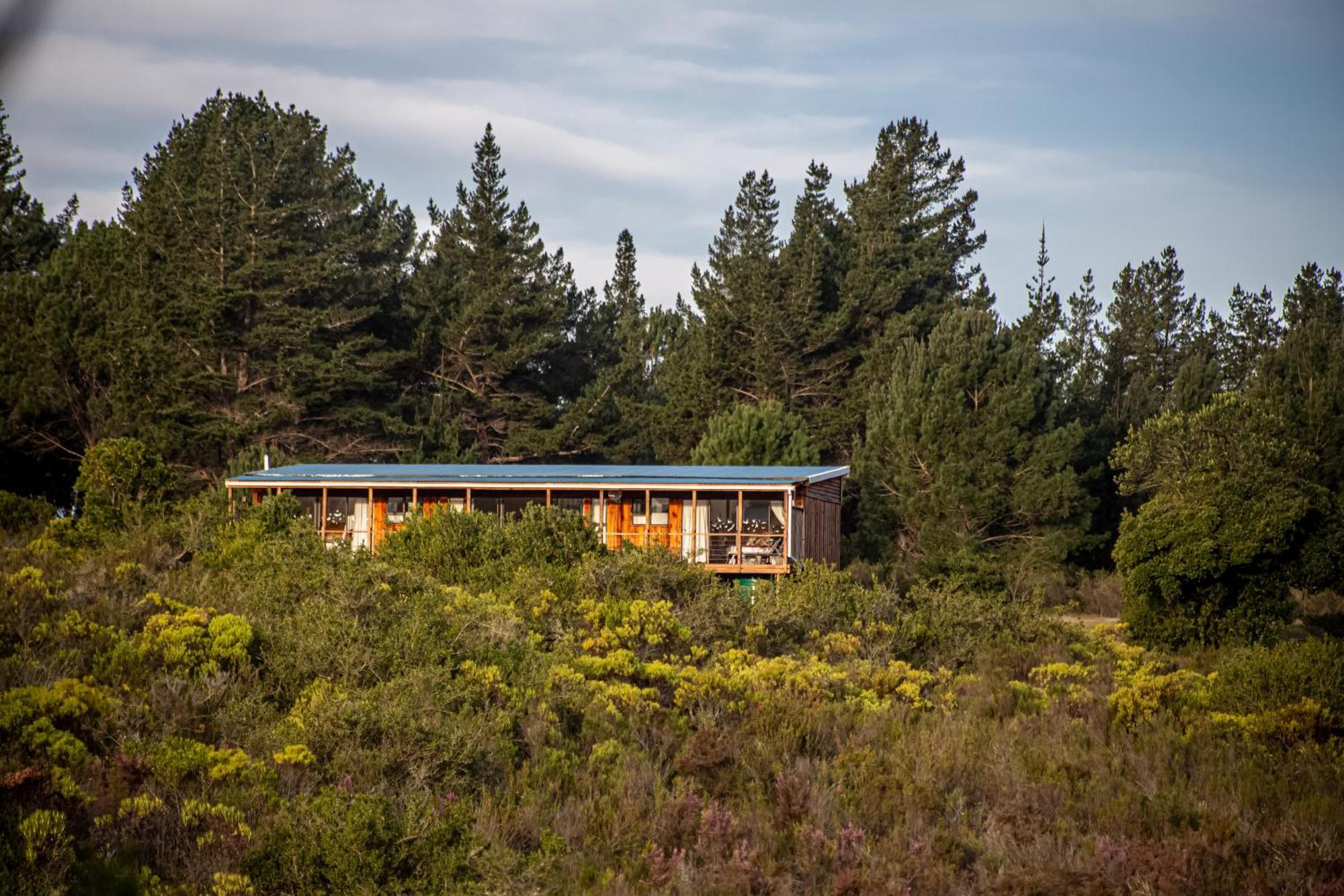 Equleni Guest Farm Hotel Sedgefield Exterior photo