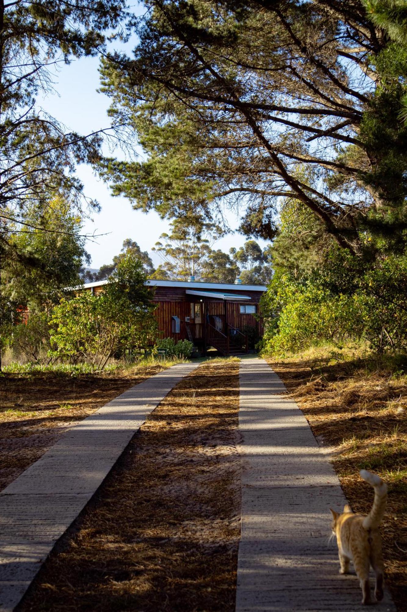 Equleni Guest Farm Hotel Sedgefield Exterior photo